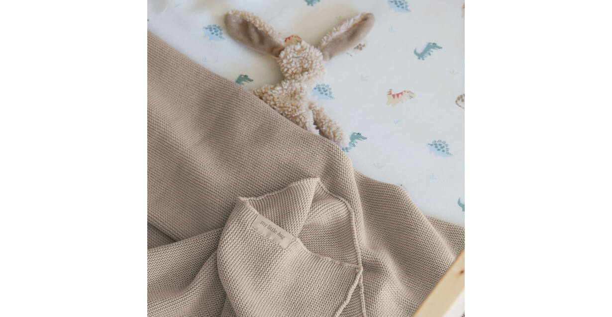 Walra Deken Knuffel Warmer