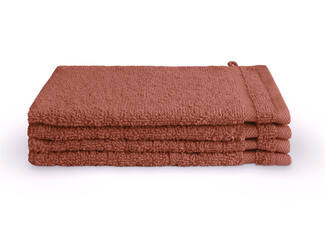 Terra