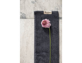 Walra Gastendoek Soft Cotton